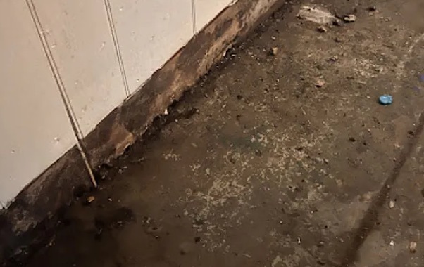 Hoarding Cleanup in Flower Mound, TX